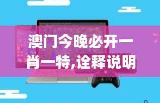 澳门今晚必开一肖一特,诠释说明解析_Surface8.931