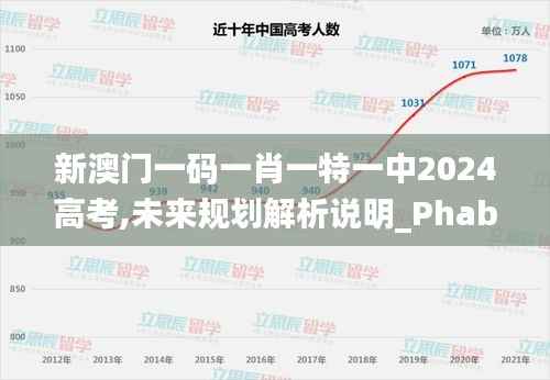 新澳门一码一肖一特一中2024高考,未来规划解析说明_Phablet16.702