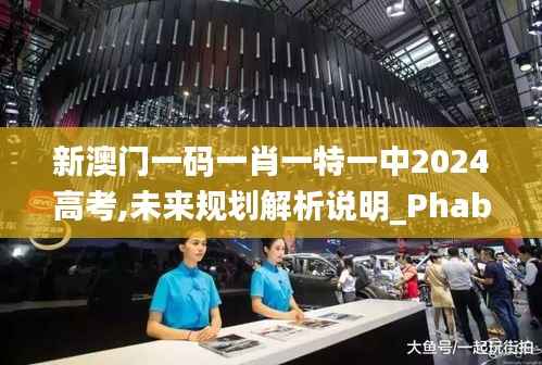新澳门一码一肖一特一中2024高考,未来规划解析说明_Phablet16.702