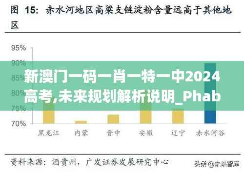 新澳门一码一肖一特一中2024高考,未来规划解析说明_Phablet16.702