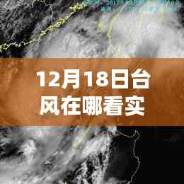 如何在百度地图上查看12月18日台风实时图,详细步骤指南