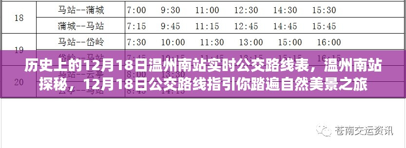 温州南站公交路线指引,探秘历史与自然的旅程,12月18日实时指南