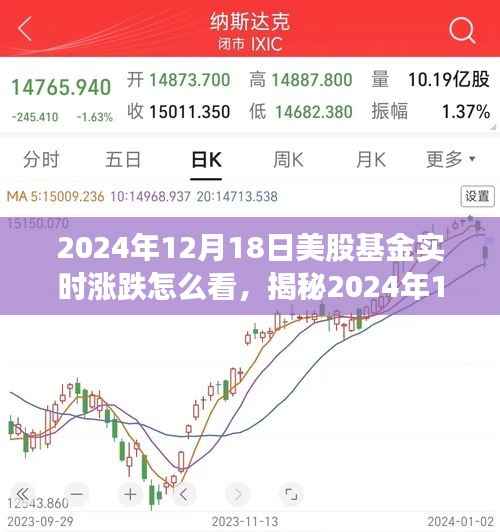 揭秘,如何实时观察与分析2024年12月18日美股基金的涨跌与投资走势关键要素