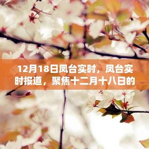 凤台实时聚焦,十二月十八日热点事件报道