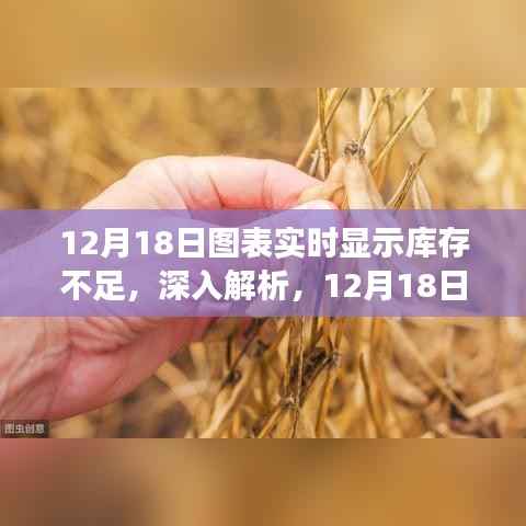 12月18日图表实时显示库存不足的背后,功能优势与挑战解析