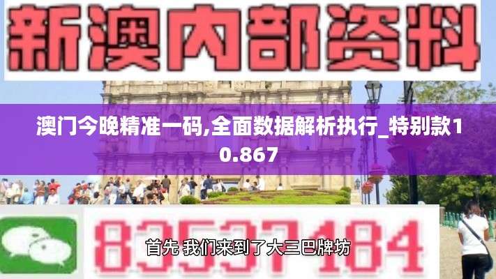 澳门今晚精准一码,全面数据解析执行_特别款10.867