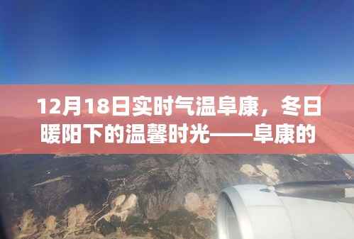 12月18日阜康实时气温,冬日暖阳下的温馨时光