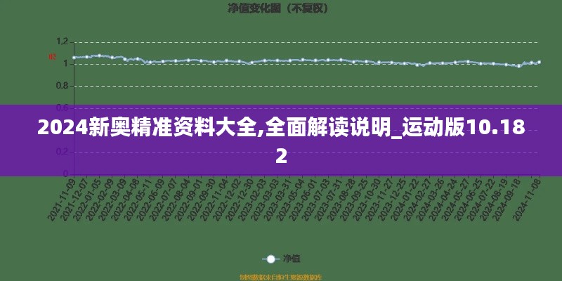 2024新奥精准资料大全,全面解读说明_运动版10.182