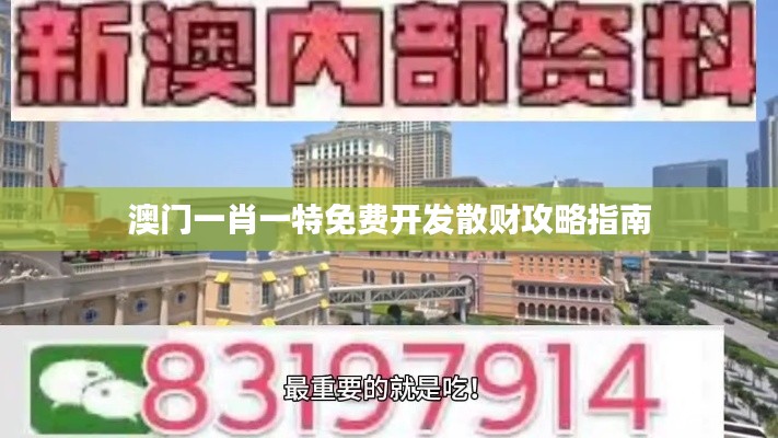 澳门一肖一特免费开发散财攻略指南