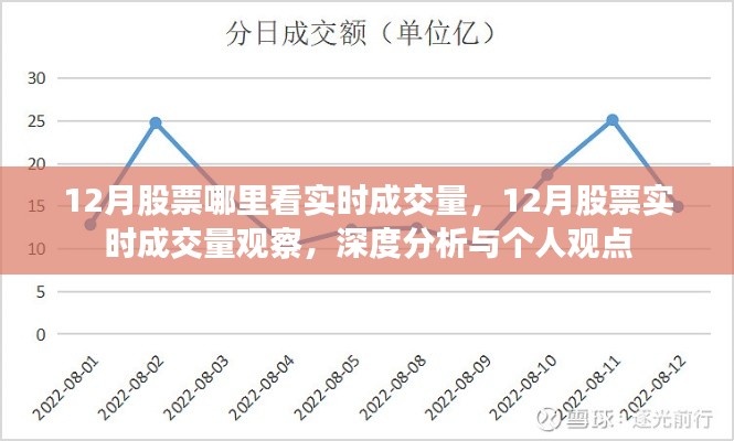 12月股票实时成交量观察全解析,深度分析与个人观点