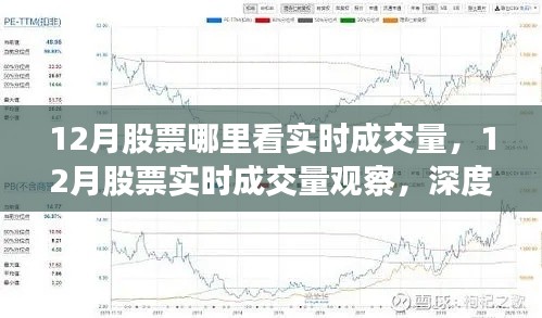 12月股票实时成交量观察全解析,深度分析与个人观点