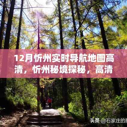 忻州秘境探秘,高清导航地图带你领略自然之美