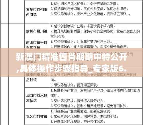 新澳门精准四肖期期中特公开,具体操作步骤指导_专家版6.373