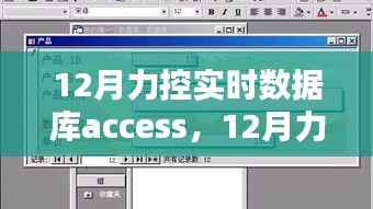 深入解析与观点阐述,力控实时数据库Access在12月的实战应用与操作指南