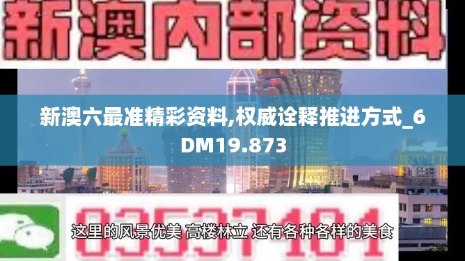 新澳六最准精彩资料,权威诠释推进方式_6DM19.873