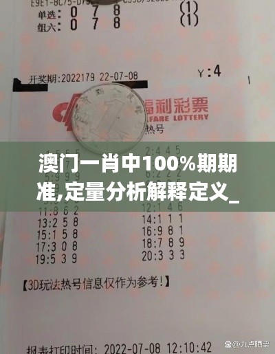 澳门一肖中100%期期准,定量分析解释定义_P版4.179