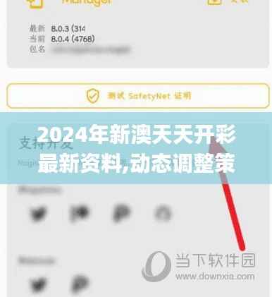 2024年新澳天天开彩最新资料,动态调整策略执行_完整版2.134