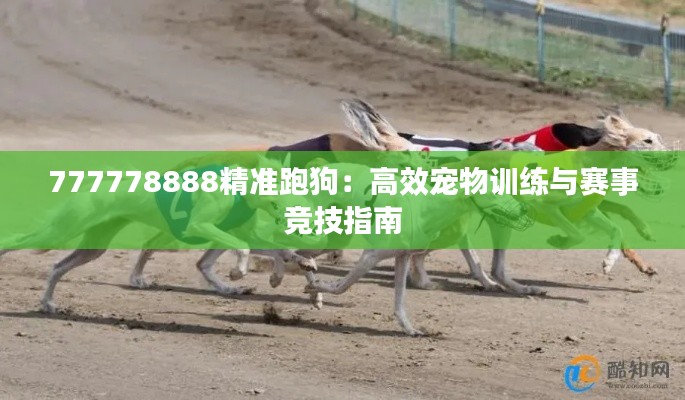 777778888精准跑狗：高效宠物训练与赛事竞技指南