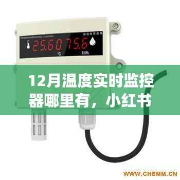 寻找冬季最佳温度实时监控器,小红书推荐,温暖整个冬季的必备神器!