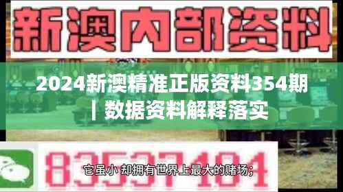 2024新澳精准正版资料354期｜数据资料解释落实