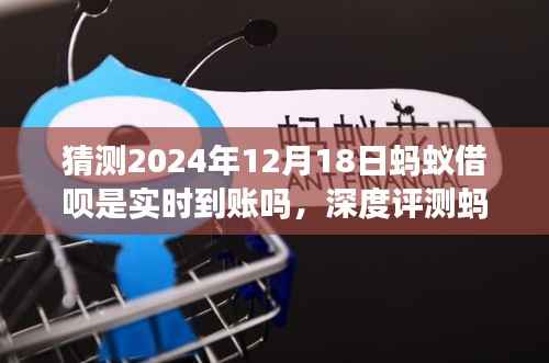 深度评测蚂蚁借呗，实时到账特性解析及功能探讨
