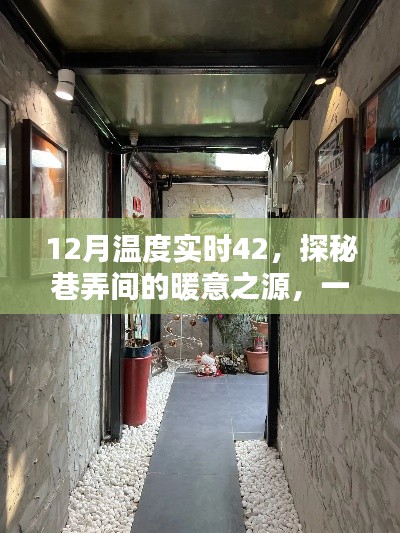 巷弄深处的暖意之源,特色小店实时探秘,12月温度高达42度