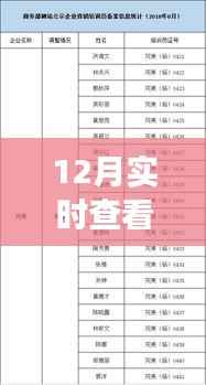 揭秘十二月训练参数实时变化之旅,背景、进展与深远影响的探索