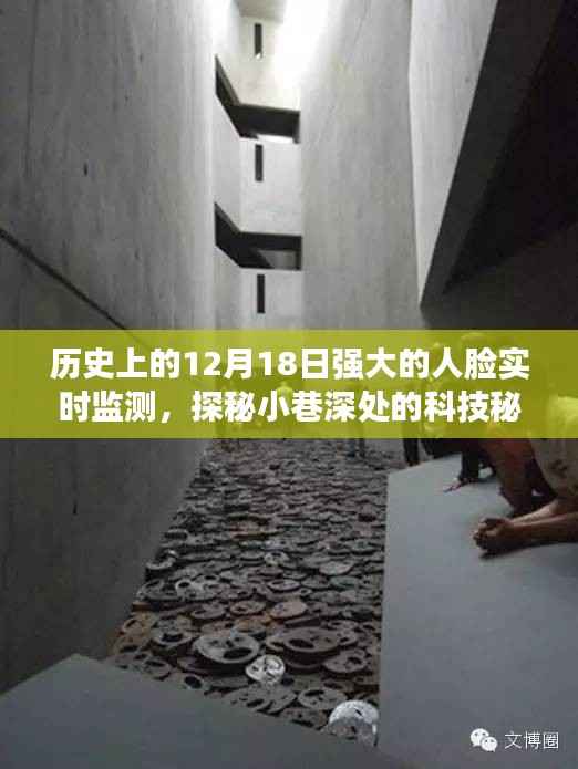 探秘历史尘埃中的实时人脸监测科技秘境,一家隐藏在小巷深处的小店历程回顾。