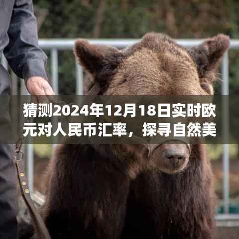 探寻自然美景之旅,预测欧元与人民币交汇点,心灵深处的宁静与平和在汇率波动中的探寻(2024年12月18日汇率预测)