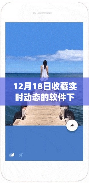 掌握未来,从收藏实时动态软件下载启程,励志之旅开启