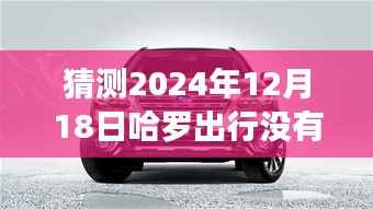 哈罗出行实时单预测与解析,展望2024年12月18日的可能性