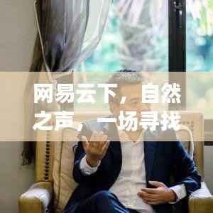 网易云下自然之声,心灵平静之旅