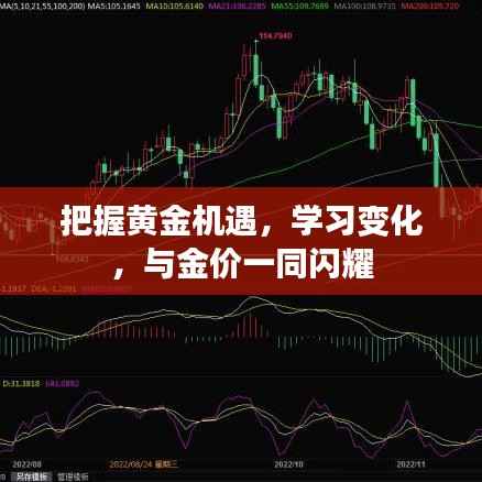 把握黄金机遇,学习变化,共赴金价闪耀之路