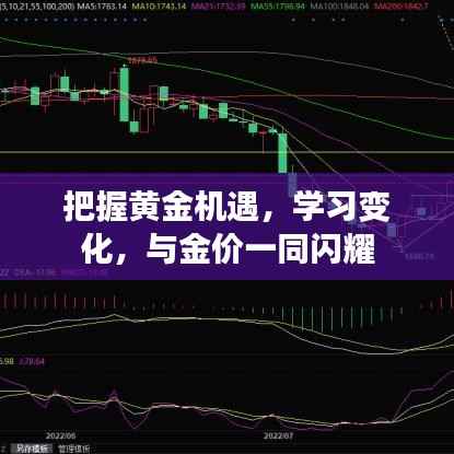 把握黄金机遇,学习变化,共赴金价闪耀之路