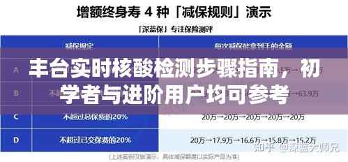 丰台实时核酸检测步骤详解,适合初学者与进阶用户参考