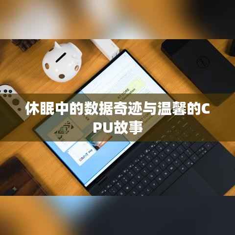 CPU中的休眠数据奇迹与温馨故事