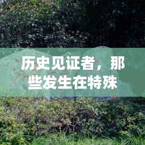 历史见证者,特殊检测站的瞬间记忆——小红书独家报道,12月18日瞬间回顾