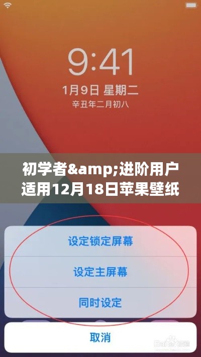 初学者与进阶用户必备的苹果壁纸设置实时更换指南(12月18日版)