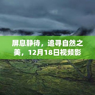 屏息追寻自然之美,视频影像实时传输之旅开启