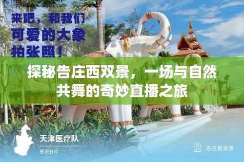 探秘告庄西双景,与自然共舞的美妙直播之旅