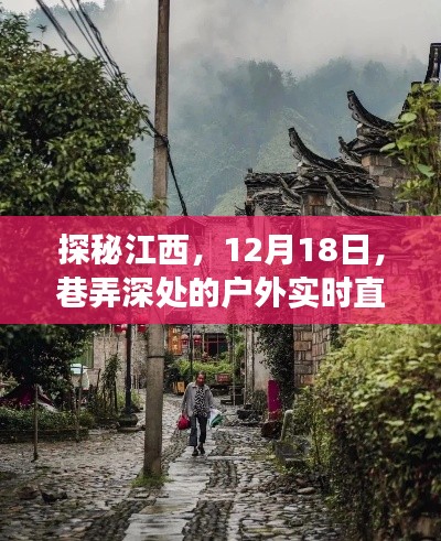 探秘江西,深度直播巷弄风光与特色小店之旅(12月18日)