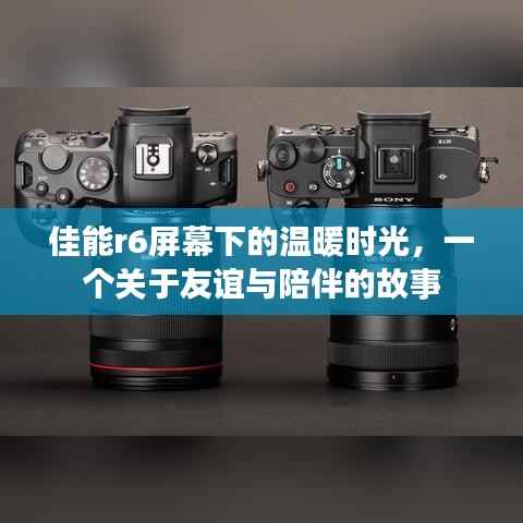 令行禁止 第2页