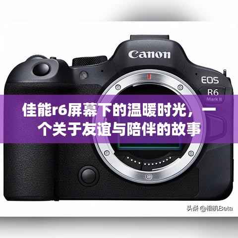 佳能R6屏幕下的温馨时光,友谊与陪伴的感人故事