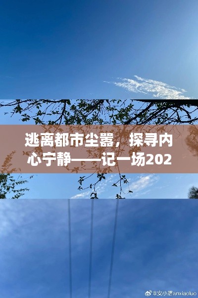记一场逃离都市喧嚣的宁静之旅,探寻空气质量的心灵之旅(2024年12月18日)