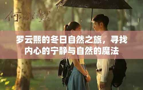 罗云熙冬日自然之旅,探寻内心宁静与自然的魔法奇缘