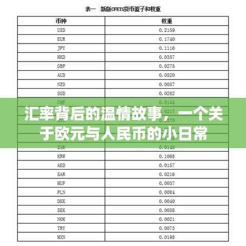 汇率背后的温情故事,欧元与人民币的日常小记