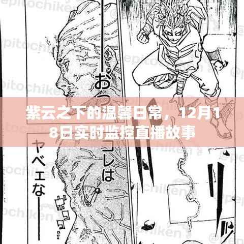 紫云之下的温馨日常,12月18日直播故事实时回顾
