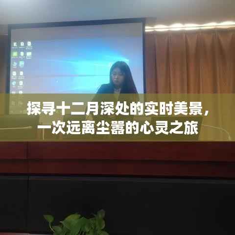 探寻十二月深处的秘境之旅,心灵与自然的美妙交响