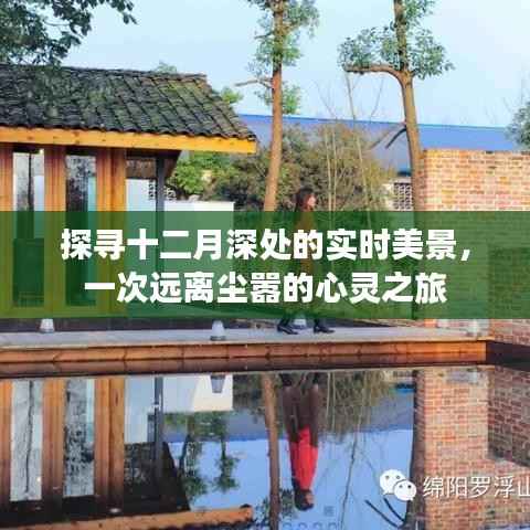 探寻十二月深处的秘境之旅,心灵与自然的美妙交响