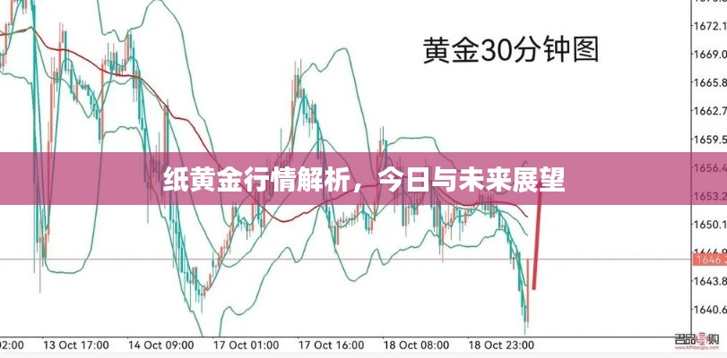 纸黄金行情解析,今日动态及未来展望